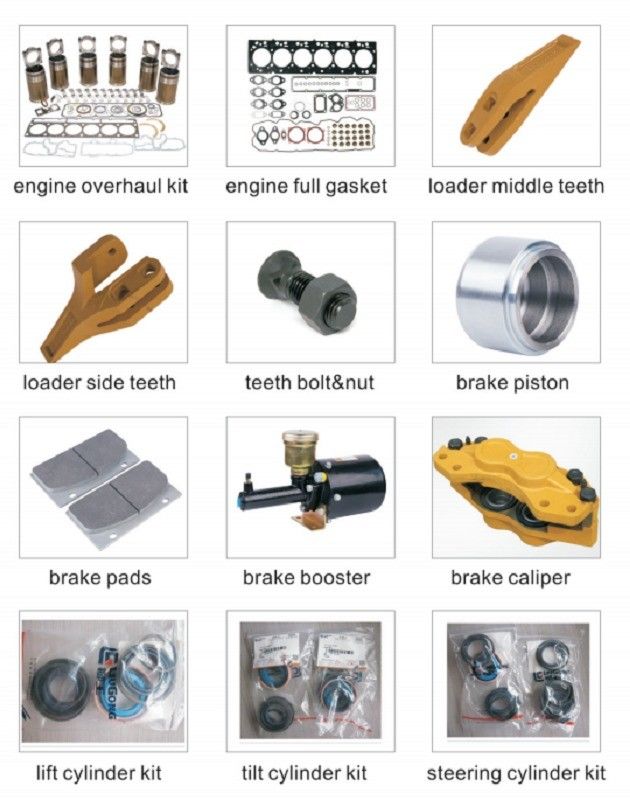 Động cơ CLG842/CLG856/CLG862 van sạc 13C0218 phù hợp hoàn hảo cho máy móc của bạn