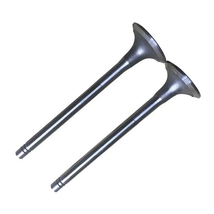 Động cơ chất lượng nguyên bản 3018761 3028587 3179944 Cho bảo trì máy móc xây dựng